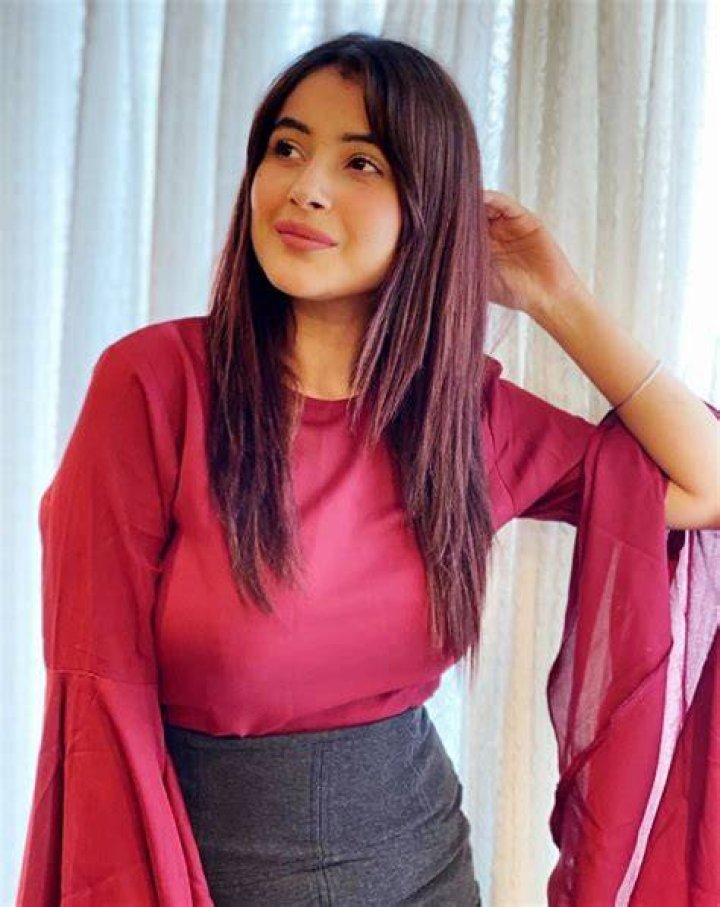 hot Shehnaz Kaur Gill